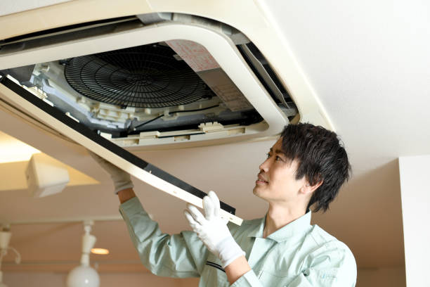 Best Air Duct Cleaning Company Near Me  in Rosedale, MS